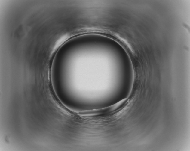 X0000095891365200801111146