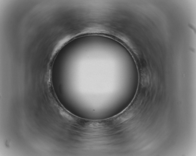 X0000095891366200801111146