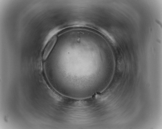 X0000095891368200801111146
