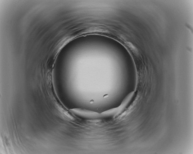 X0000095891369200801111146