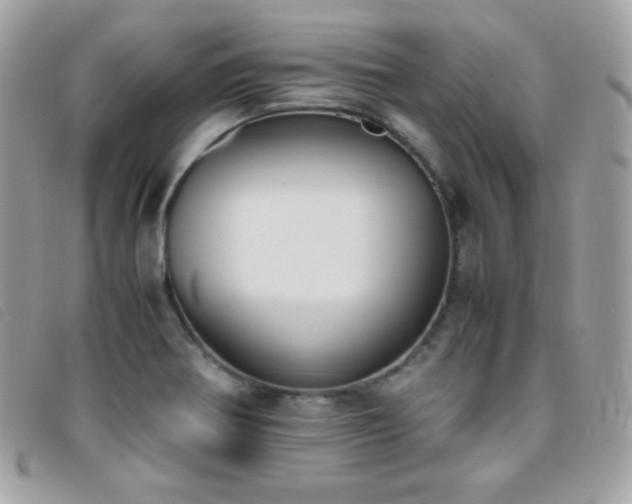 X0000095891370200801111146