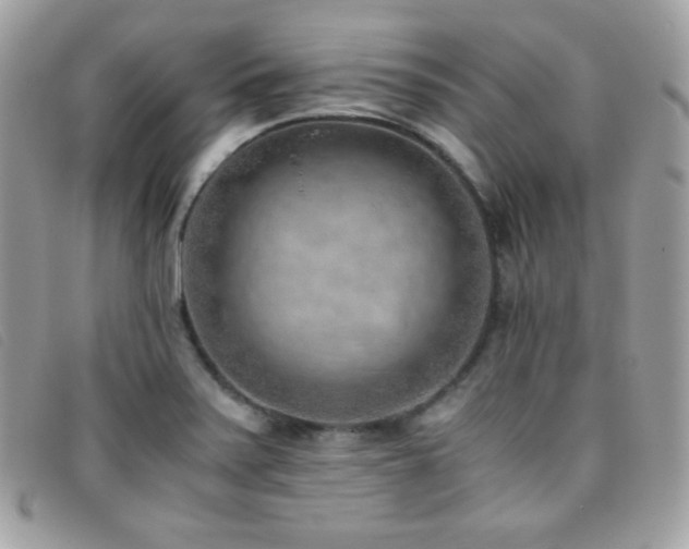 X0000095891371200801111146