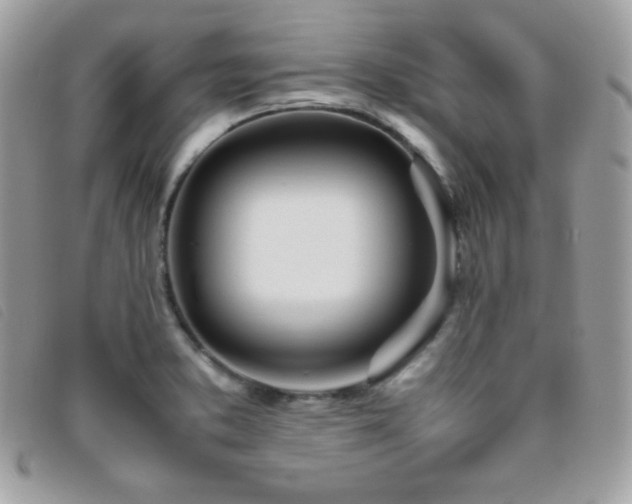 X0000095891373200801111146