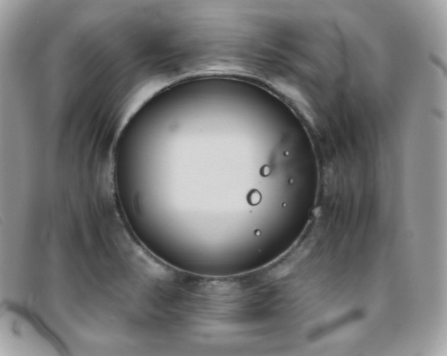 X0000095891374200801111146
