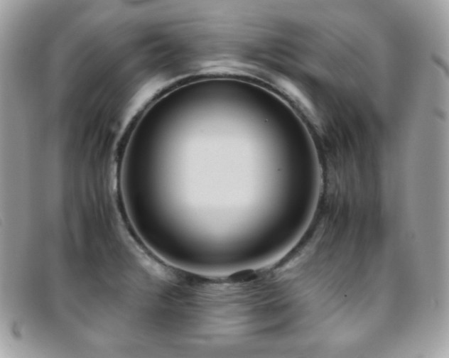 X0000095891376200801111146