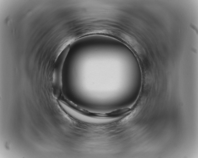 X0000095891377200801111146