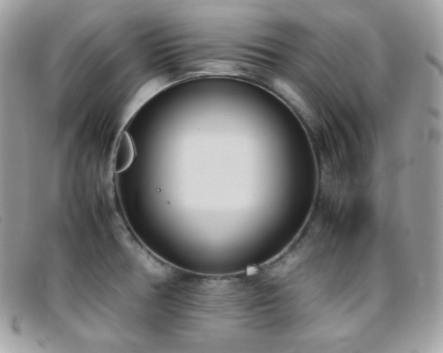 X0000095891378200801111146