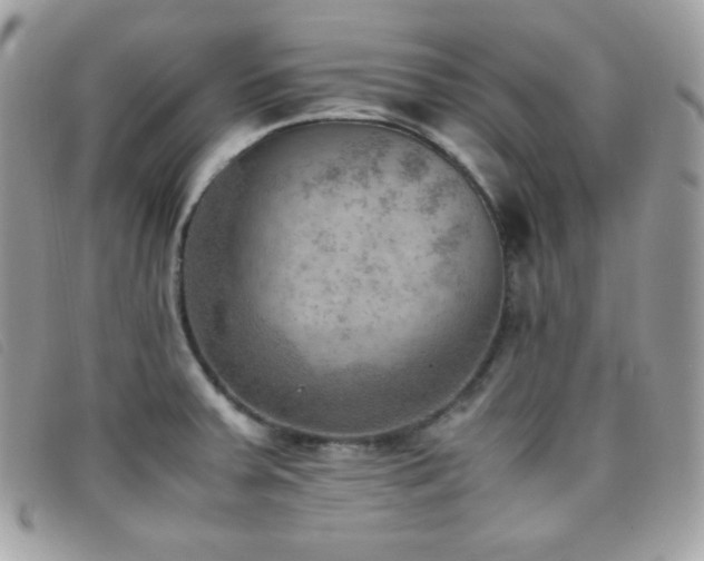 X0000095891379200801111146