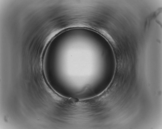 X0000095891380200801111146