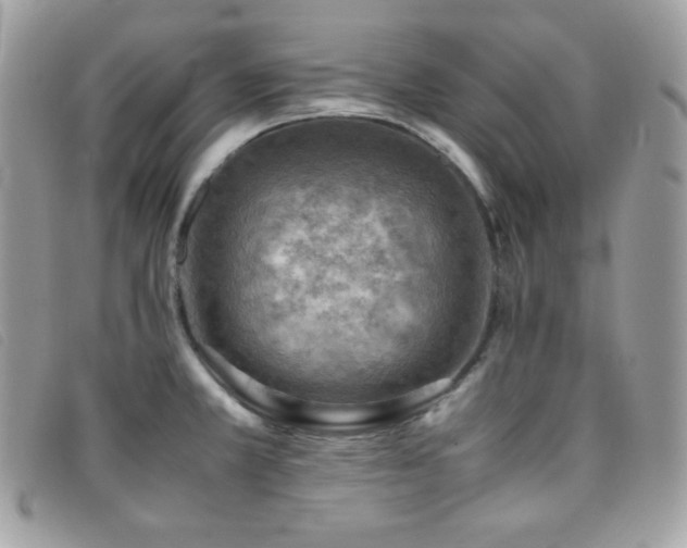 X0000095891381200801111146