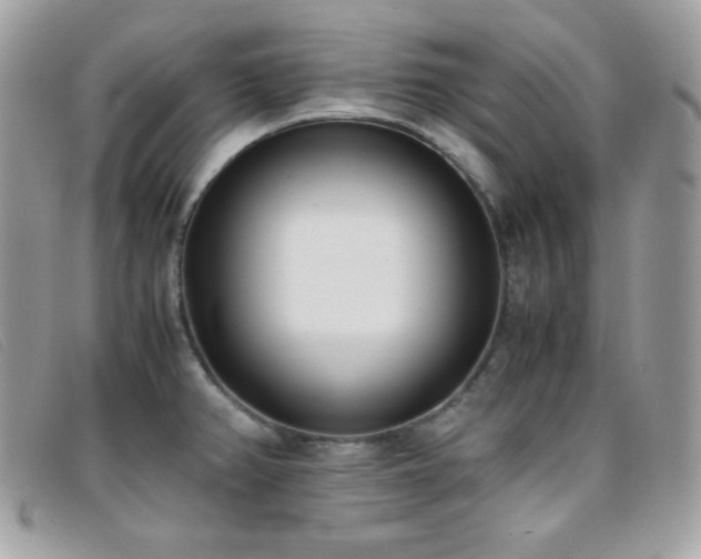 X0000095891382200801111146