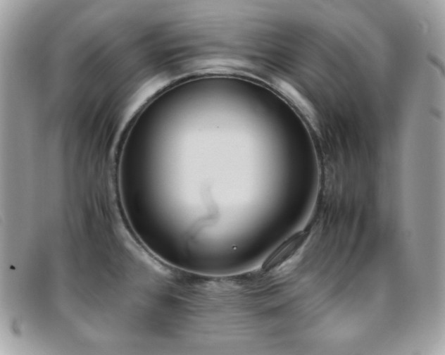 X0000095891384200801111146