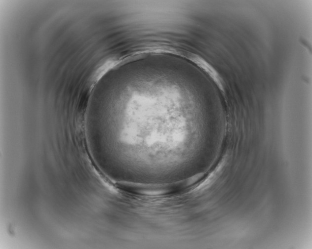 X0000095891385200801111146