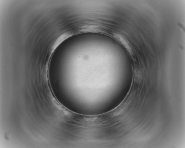 X0000095891386200801111146