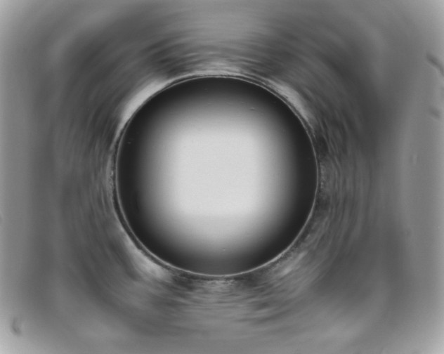X0000095891387200801111146