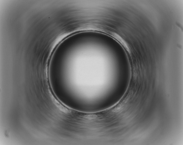 X0000095891388200801111146