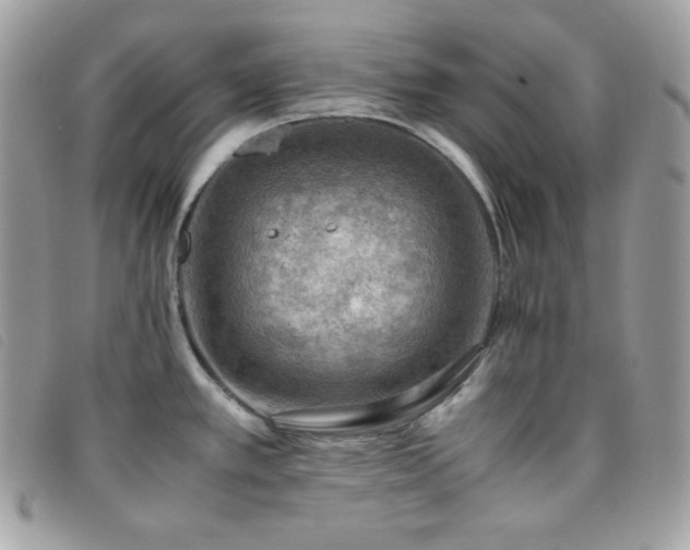 X0000095891389200801111146