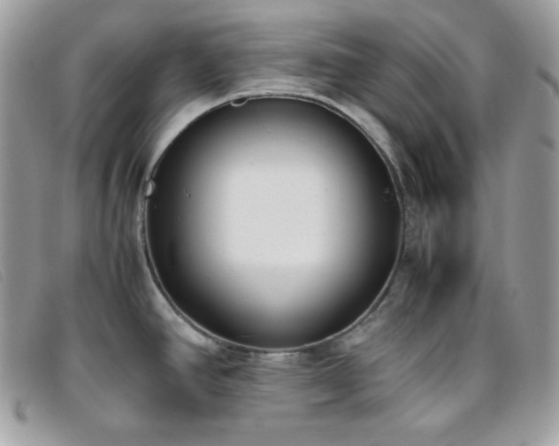 X0000095891390200801111146
