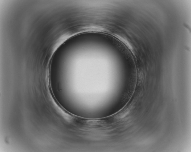 X0000095891391200801111146