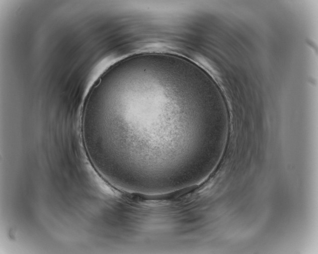 X0000095891392200801111146