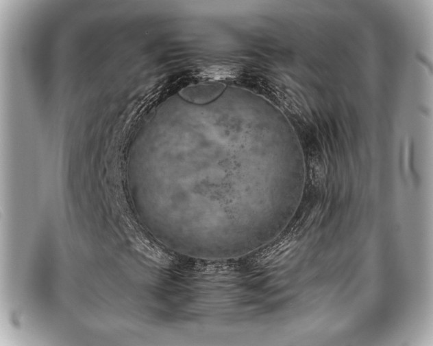 X0000095891393200801111145