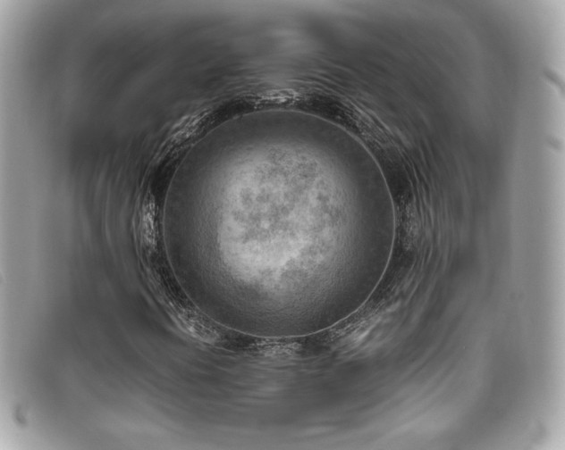 X0000095891394200801111145