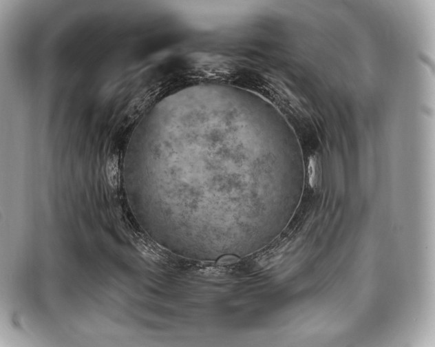 X0000095891395200801111145