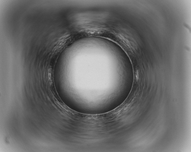 X0000095891396200801111145
