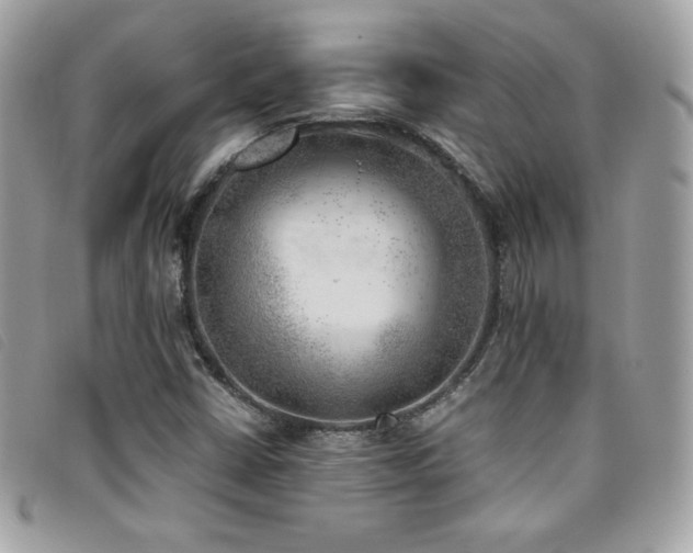 X0000095891402200801111145