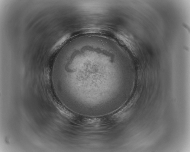 X0000095891403200801111145