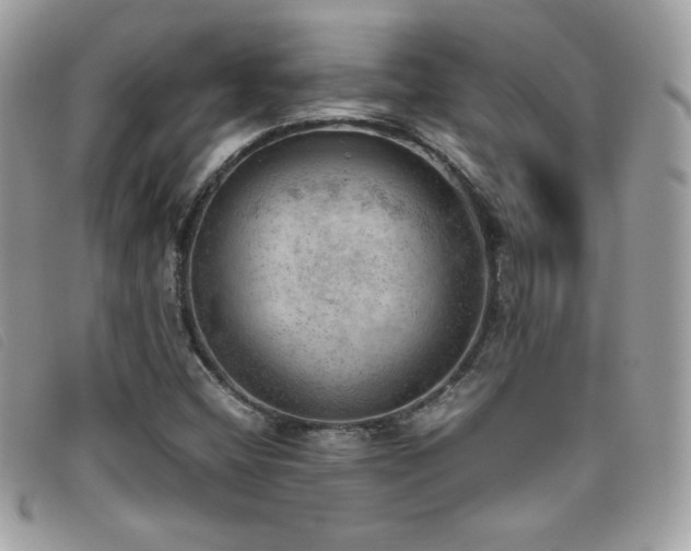 X0000095891404200801111145