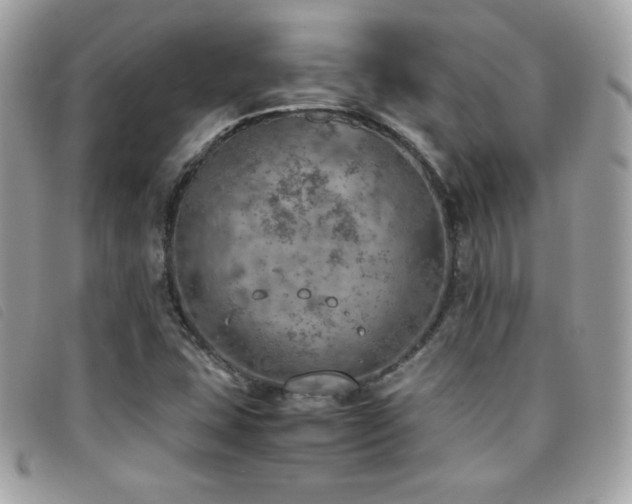 X0000095891407200801111145