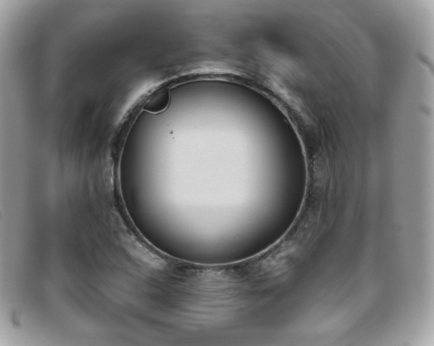X0000095891408200801111145