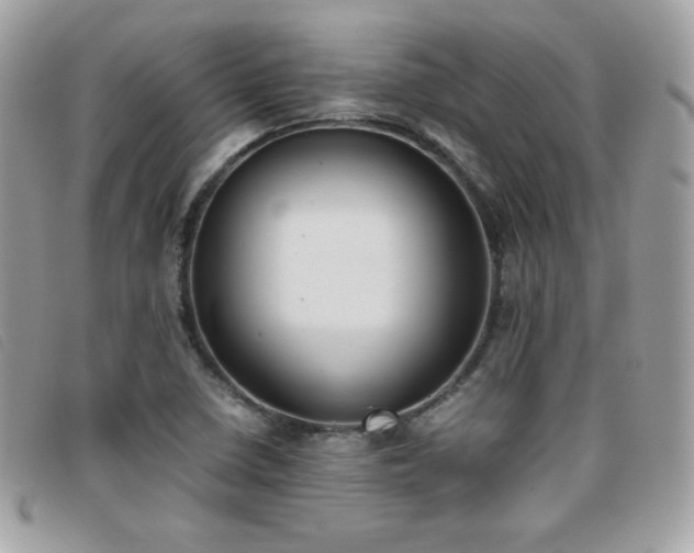 X0000095891410200801111145