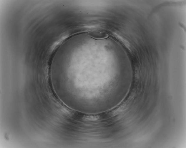 X0000095891411200801111145