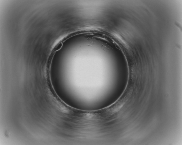 X0000095891412200801111145