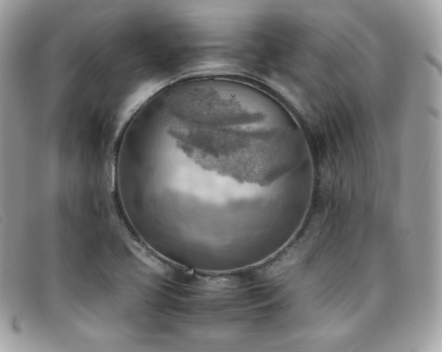 X0000095891413200801111145