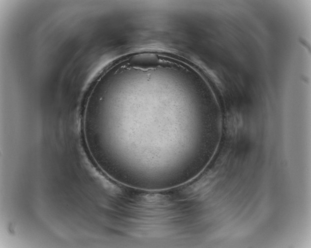 X0000095891416200801111145