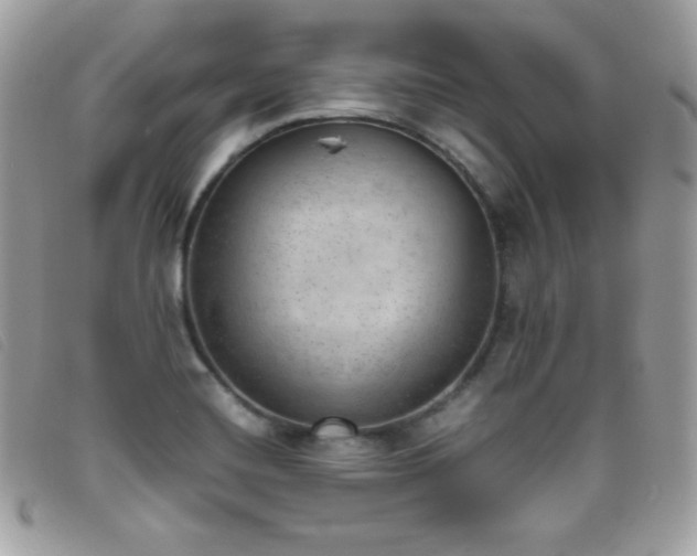 X0000095891420200801111145
