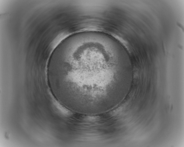 X0000095891423200801111145