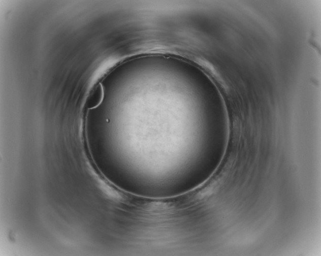 X0000095891424200801111145