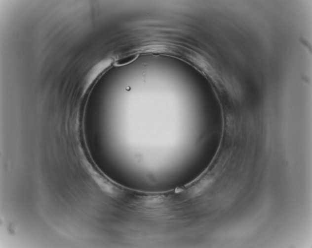 X0000095891426200801111145