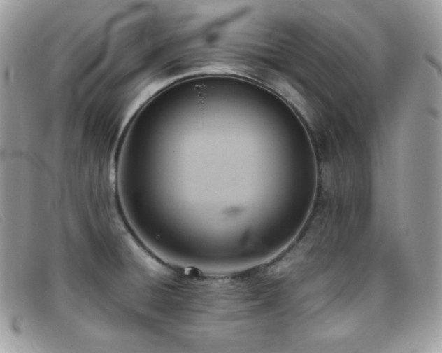 X0000095891428200801111145