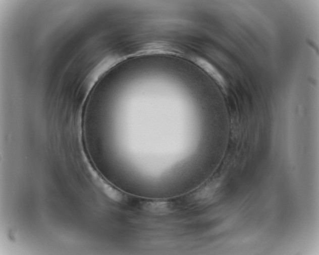 X0000095891431200801111145
