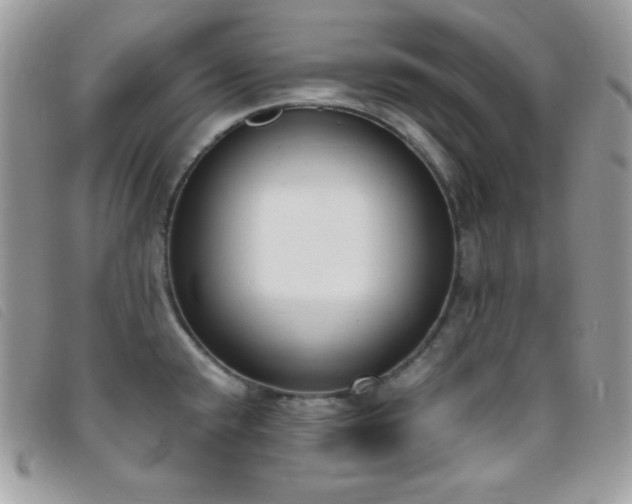 X0000095891432200801111145