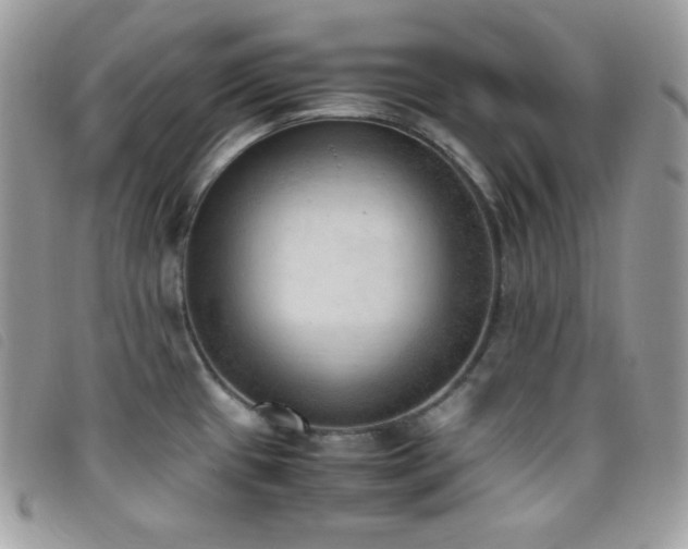 X0000095891433200801111145