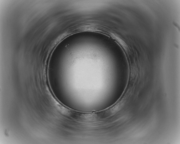 X0000095891434200801111145
