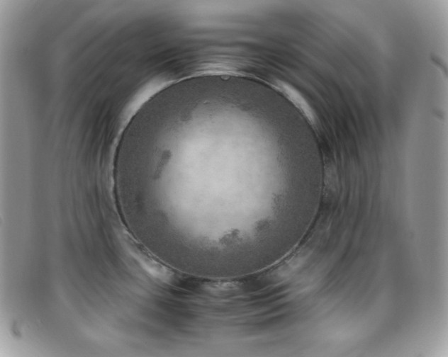 X0000095891435200801111145