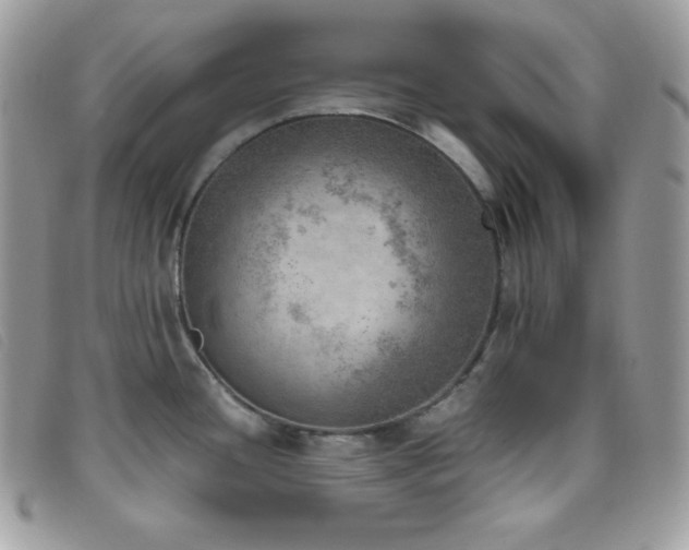 X0000095891436200801111145
