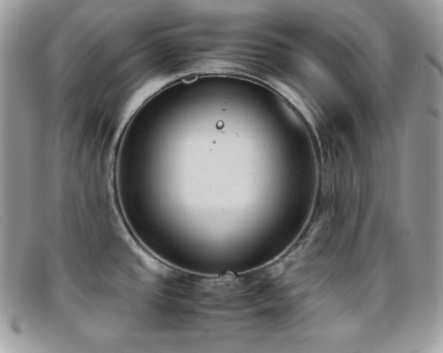 X0000095891437200801111146